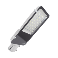 Luminaria LED 12/24 Vcc de 30 W para alumbrado público - SolarAlternativo.Shop